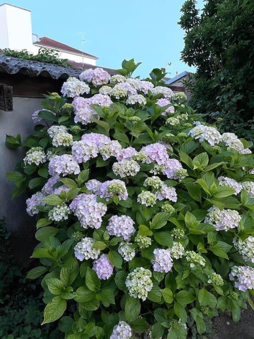 La Casa Del Papa - Maison Spacieuse Avec Jardin Dole Eksteriør bilde